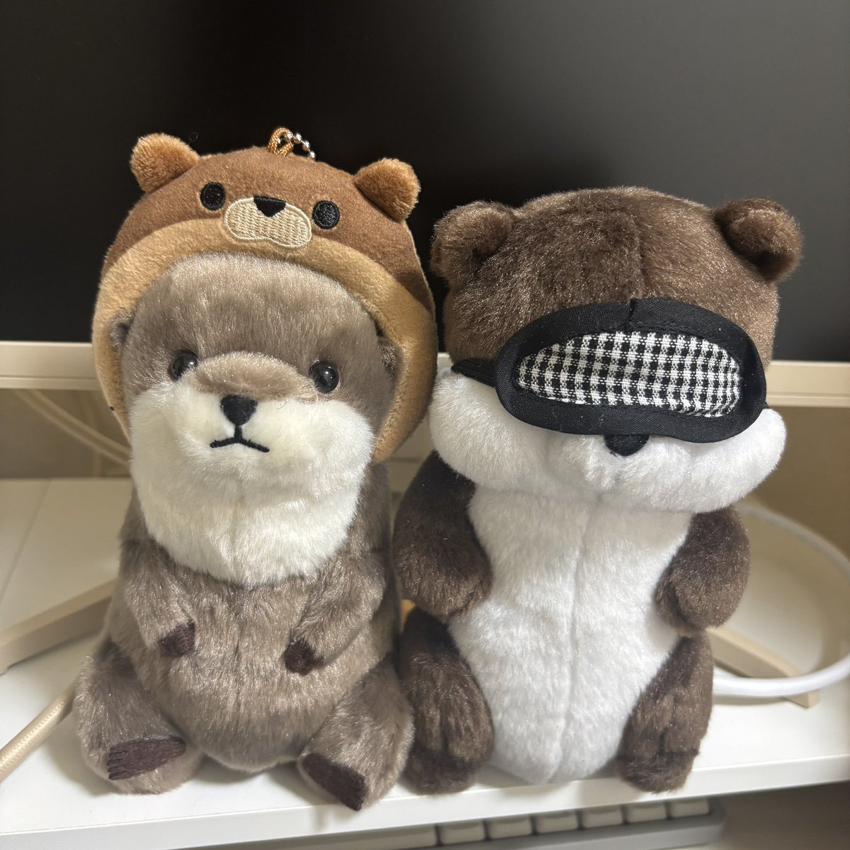 木場 遥夏 tweet media