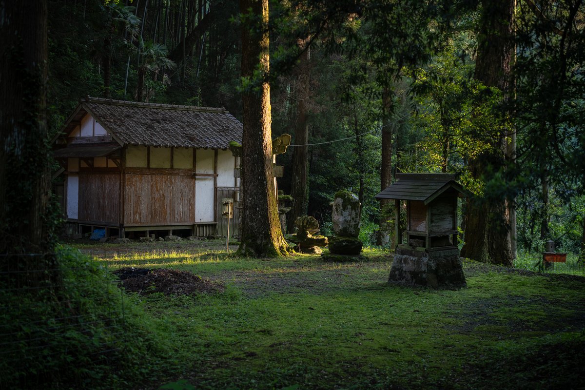 瓜生⛩️ tweet media
