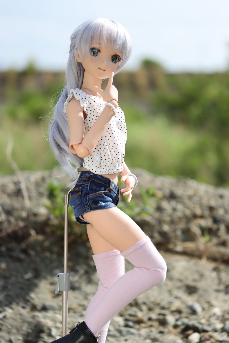 catbell0514's tweet photo. 最近お気に入りのポージング。

＃うちのこかわいい
＃ドルフィードリーム
#PetiteMarie https://t.co/Te3wEWsykA