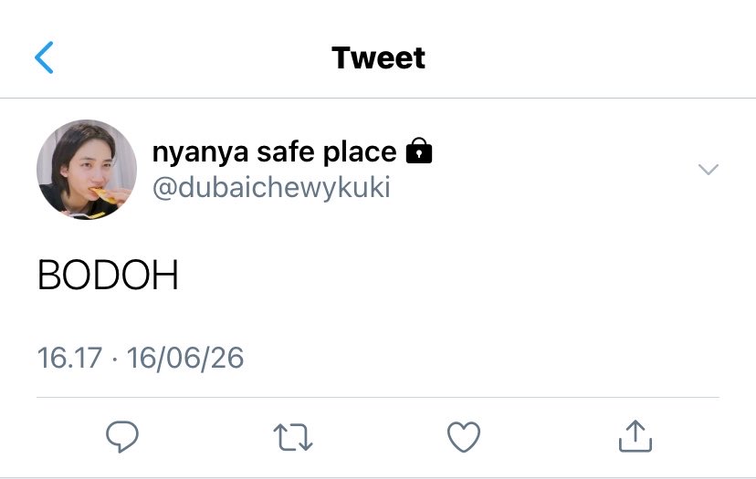 put tweet media
