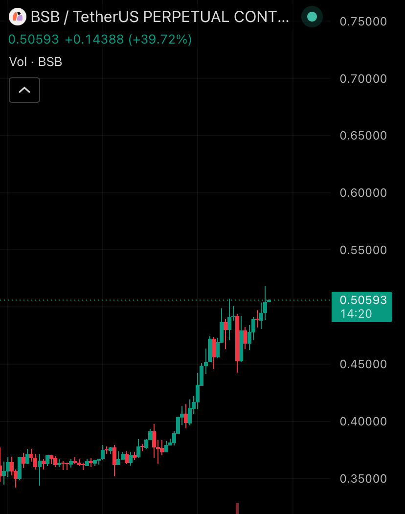 ions_op's tweet photo. $BSB to 10 Billion marketcap 🔥 https://t.co/kiM8MuH8cn