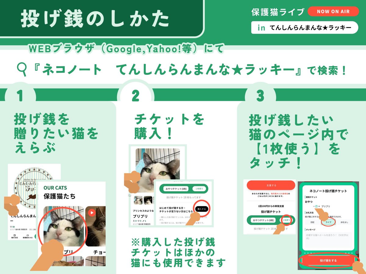 neco_note0222's tweet photo. 【📢ライブ配信のお知らせ】

6/23(火) 20時からは栃木・宇都宮市で活動されている
てんしんらんまんな★ラッキー(@luckycatproject )さんとインスタライブをお届け📱

猫たちへ投げ銭もお待ちしております🐾
(投げ銭の仕方は画像2枚目へ✏️)

▼ライブ登場予定の猫たち
https://t.co/BBo8gplm07 https://t.co/ZoXfXeJtun