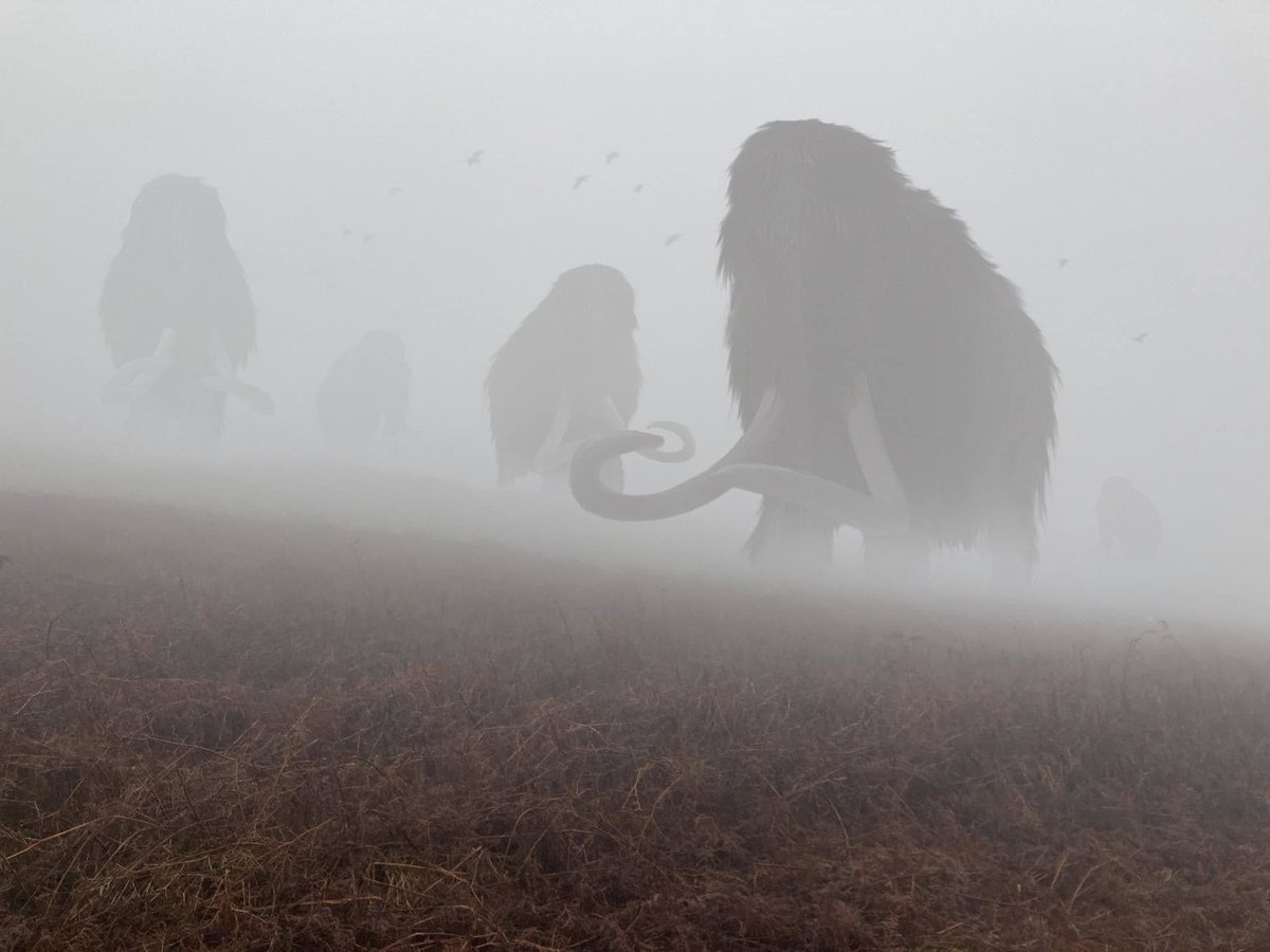 Duddly_Three's tweet photo. "Little scope there appeared for wonder:
The mammoth strode from the forest’s dusk.
Who but he, with his hooves of thunder?
Who but he, with his lightning tusk?" https://t.co/7oXjLvV5Ni