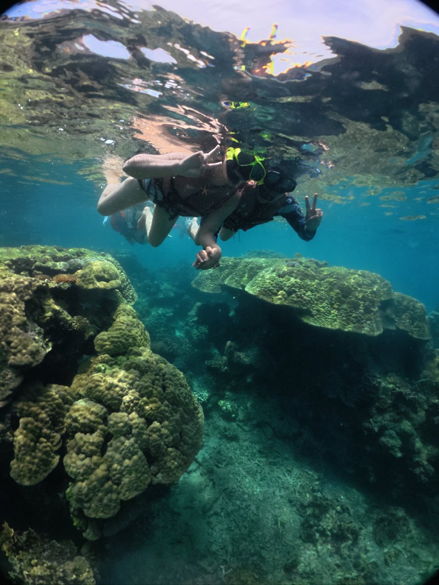seeneengja's tweet photo. Koh Tao, Thailand and me again! 💖⛅️🐢🌊 https://t.co/pJhbNUNXoc