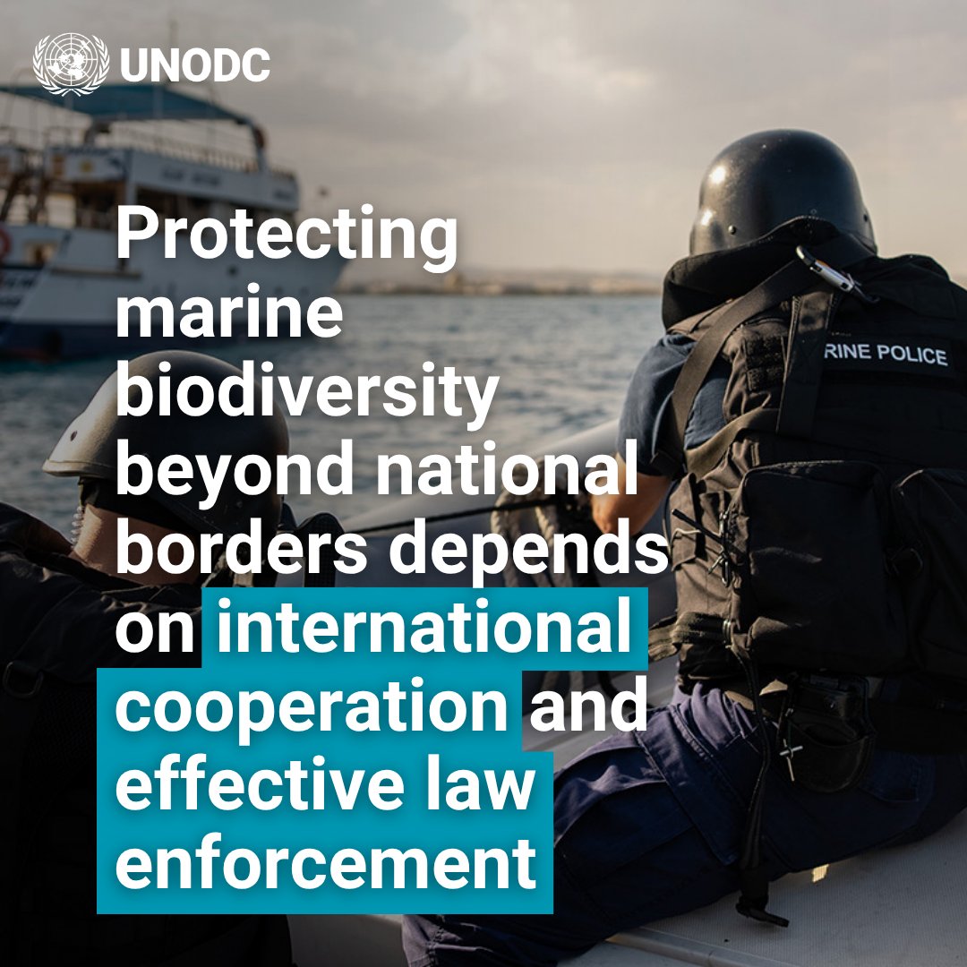The image shows two marine police officers on a boat patrolling waters to protect marine biodiversity beyond national borders. Alongside is the following text: "Protecting marine biodiversity beyond national borders depends on international cooperation and effective law enforcement."