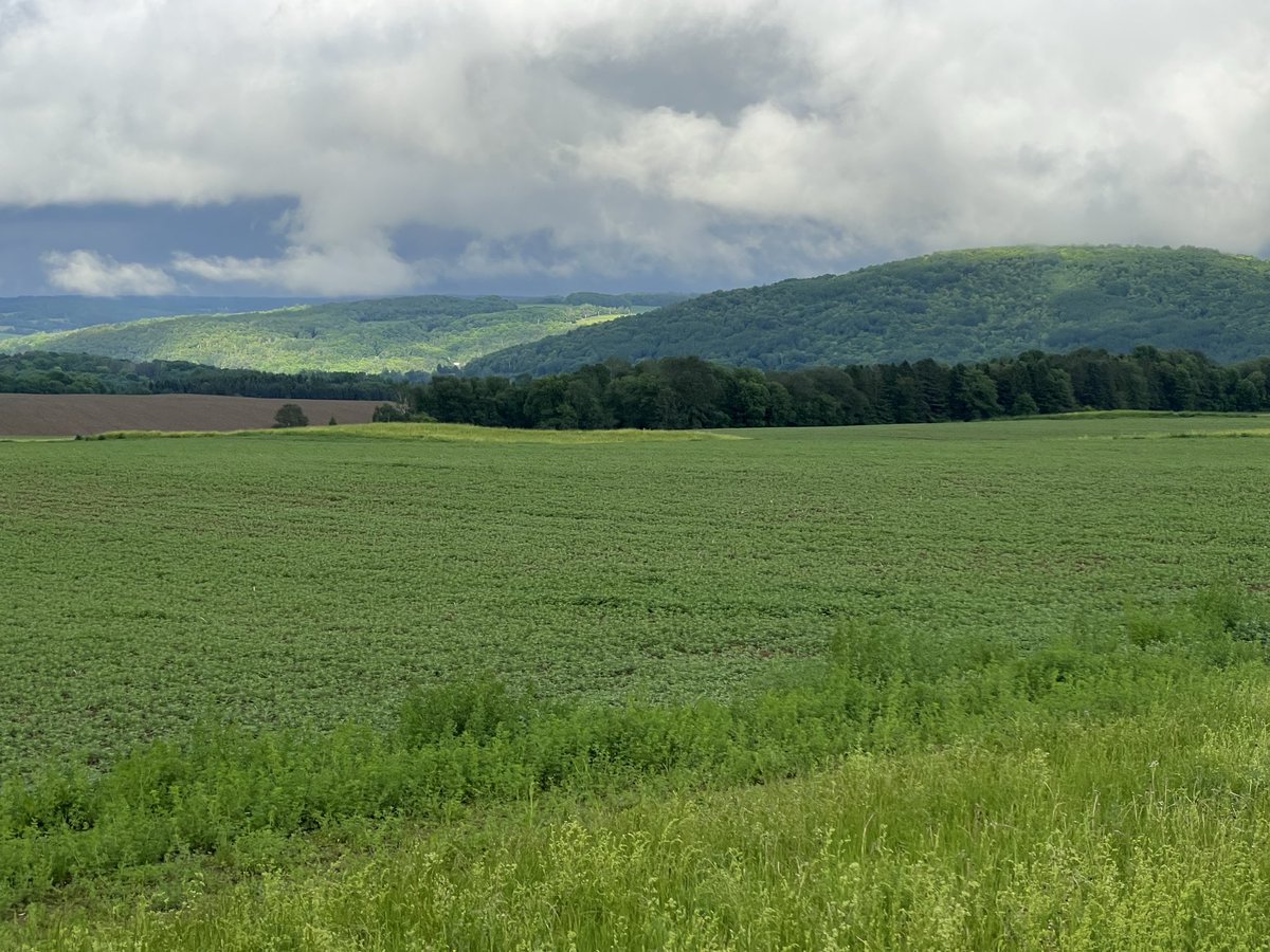ViewFromNB's tweet photo. New Brunswick is beautiful. It’s too bad the Holt government is saddling us with generational debt with nothing to show for it. Will it be $6B… $8B before we kick her out of office? https://t.co/s8wzD1e9kE