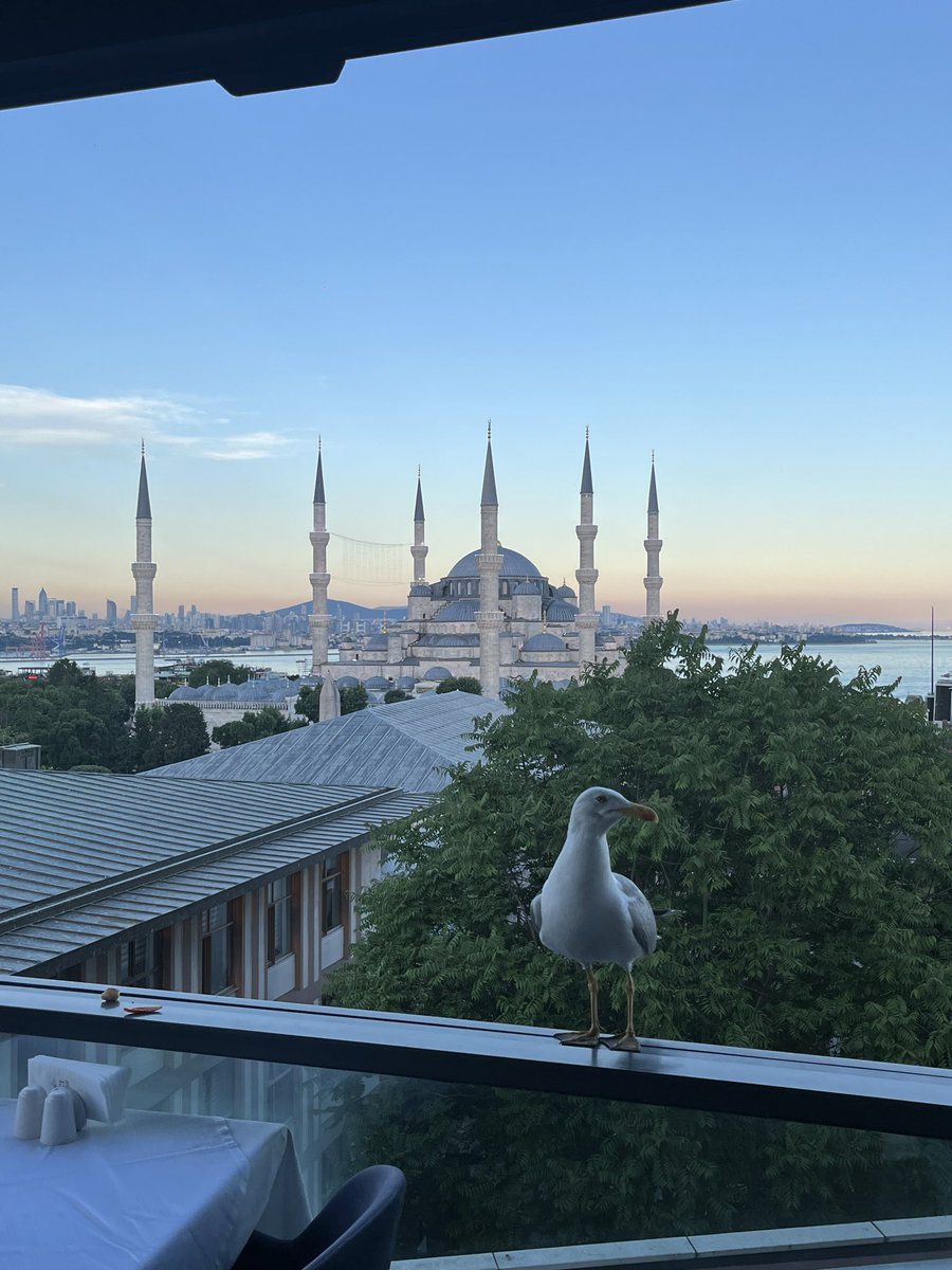 MasaDiamond_'s tweet photo. Mind you my birthday is in December 🇹🇷 https://t.co/AG4e9foZeN