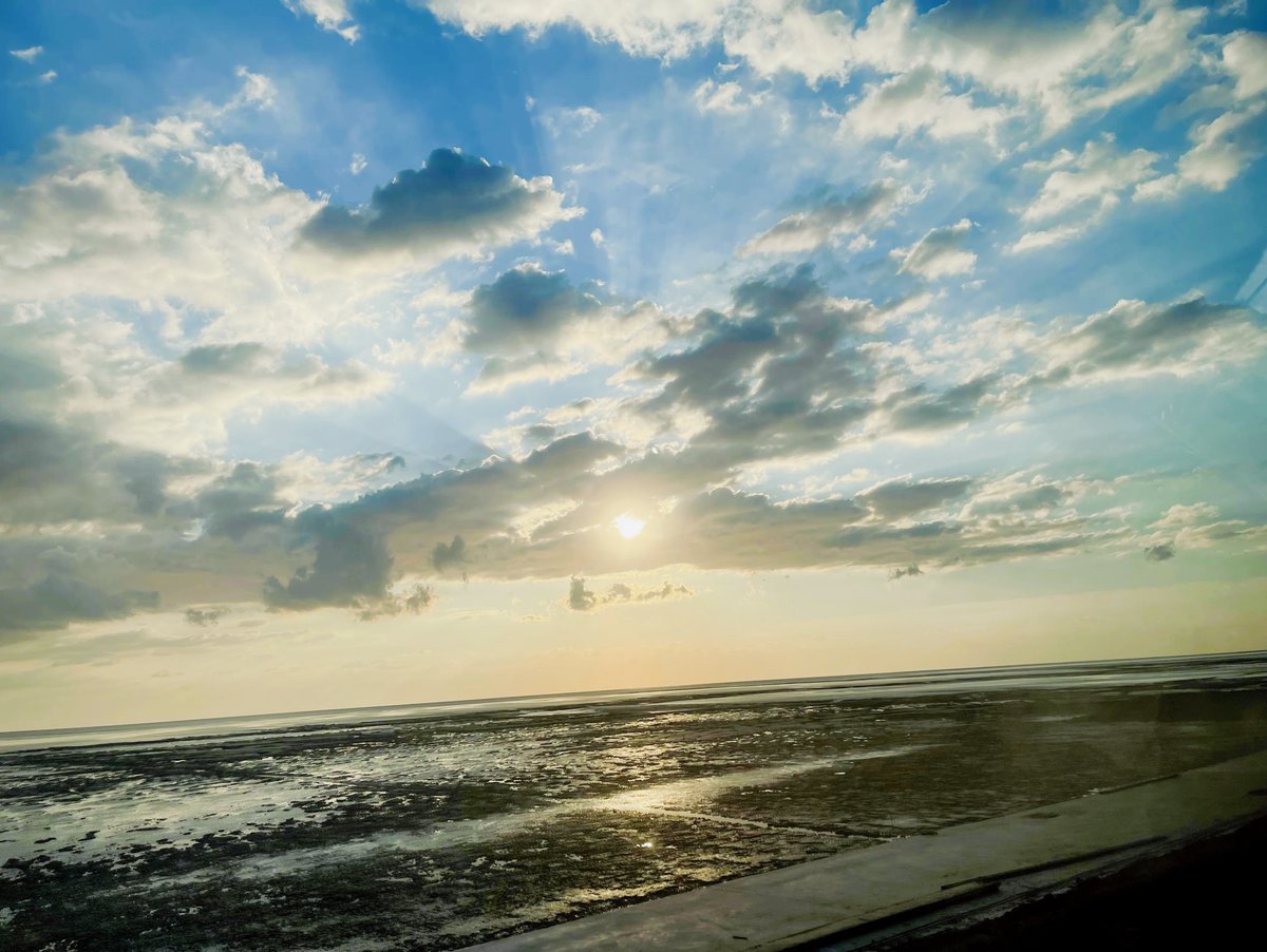 RoyDillman's tweet photo. [Just wrapped up a quick day trip to the coastal town—sunset, fresh oysters and zero traffic delays. Perfect!]， https://t.co/g34oC96dKo