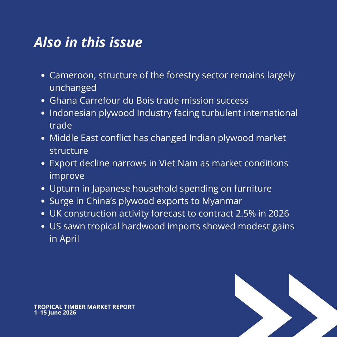 itto_sfm's tweet photo. 📊 New Issue: Tropical Timber Market Report (1–15 June)

An Executive Order issued by the U.S. President has called to "strengthen the enforcement of U.S. Customs laws," including Customs requirements for Importers of Record.

🔗 Read the report: https://t.co/cXQBRVRz76 https://t.co/I1F2T2ETaz