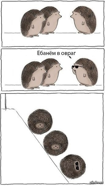 steisidhe tweet media