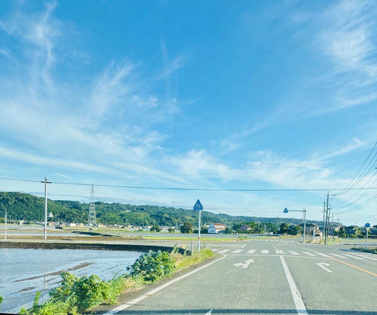 01uvKsm's tweet photo. 束の間の休みって感じ😮‍💨
(まだレポート終わってない)

風爆強だけど空が綺麗✨

何もない農道だけど
風が抜けるのが気持ちよくて
好きなんですよねー

ポチくん健在だった頃
よく散歩したの思い出す
全力の、拒否柴でした…😂 https://t.co/LWUCqeii1E