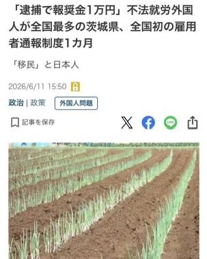 syuta1's tweet photo. @YahooNewsTopics 不法滞在を一掃しようとしていた市長さんか、、 https://t.co/EKf0EdtyNj