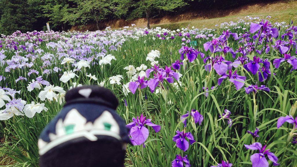 sune34_'s tweet photo. https://t.co/dxt7vvhbWh