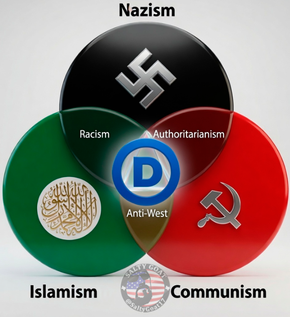 SaltyGoat17's tweet photo. Welcome to the modern-day Democrat party!! https://t.co/PMf6PJCM1v