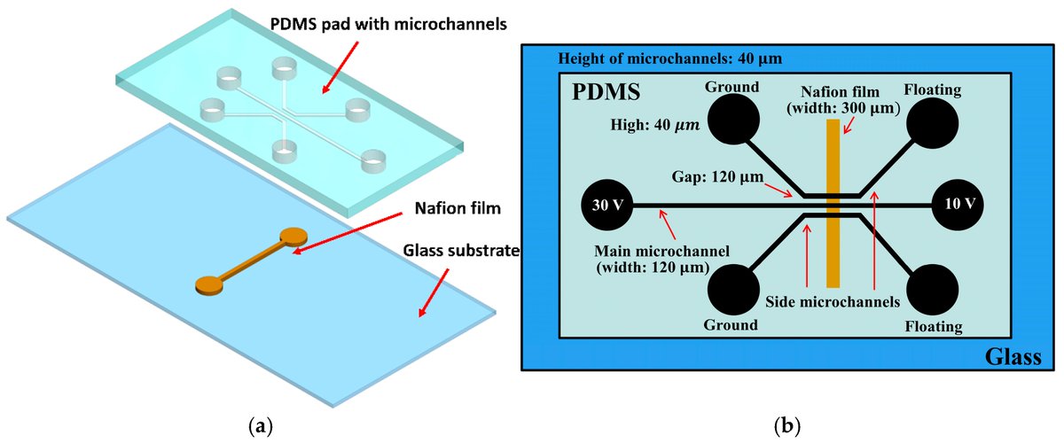 Biosensors_MDPI's tweet photo. 📣Call for Reading:
#Article
Microspectrometer-Enabled Real-Time Concentration Monitoring in the Microfluidic Protein Enrichment Chip
By Dong Li, Wen-Shu Huang, Hung-Yi Wu, Chun-Ping Jen
https://t.co/A1y2XNThqS
#microfluidic_chips #fluorescence #biosensor https://t.co/ijkMzhgNas