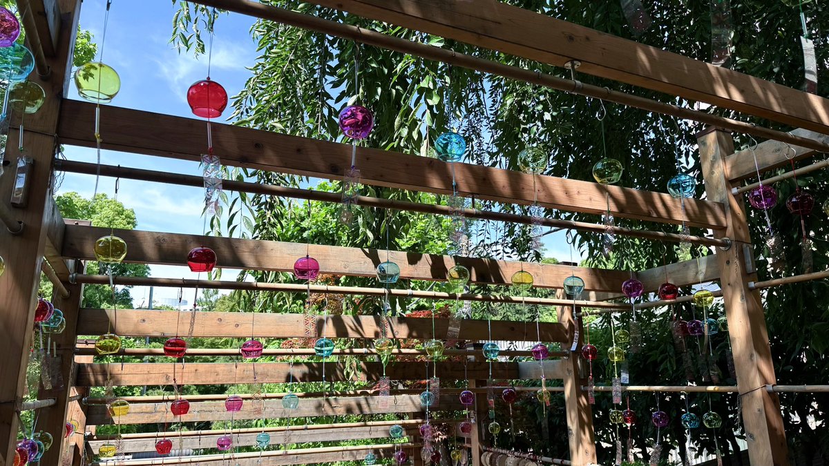 nemu_pl's tweet photo. 📍法輪寺(早稲田)

どこ見ても紫陽花が綺麗でした🤍
御朱印の色合いとデザインが可愛い🫵🏻⭐️ https://t.co/l7nXR1hE5D