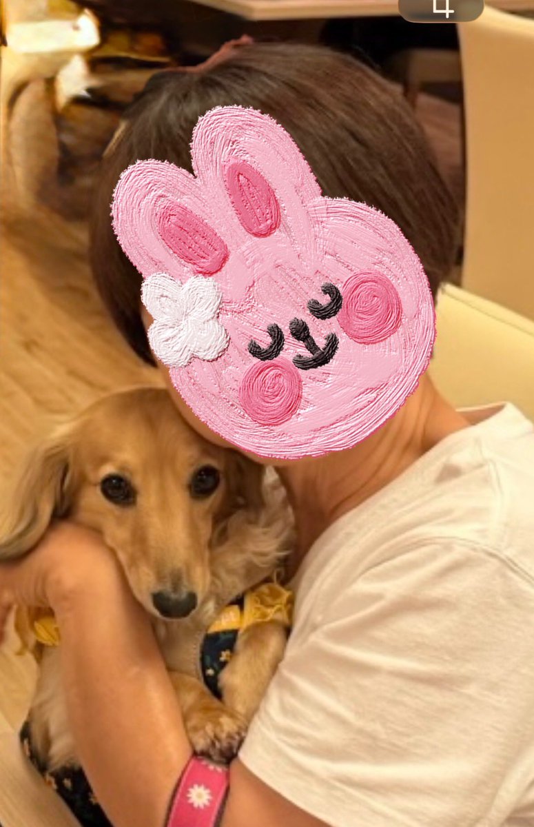 satotuma's tweet photo. @yuad127 ワンほー🐶こんばんワン✨
今日はお留守番🏠頑張ったワン❣️
ママに(ᐡ´• ·̫•)ﾉ(-‧̫ -`ᐡ)ｲｲｺ ｲｲｺして
もらったワン🐾ᵕ̈♡♡
(*˘︶˘*)ｵﾔｽﾐﾅｻｲ~..♡♡🐑💤 https://t.co/NBqKq8lf8O