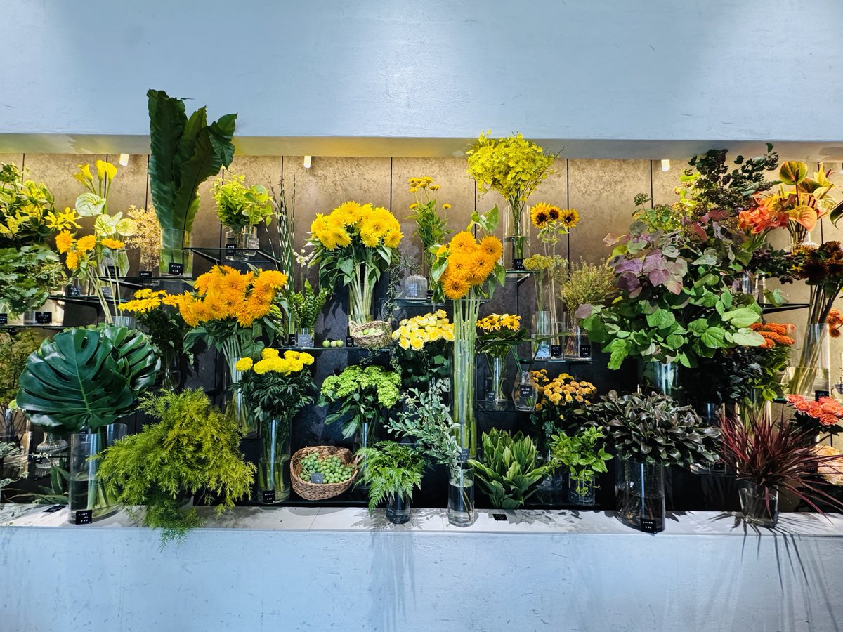 420choco's tweet photo. 三重県のめちゃぽしゃれ花屋 https://t.co/FWjDZwZYa4