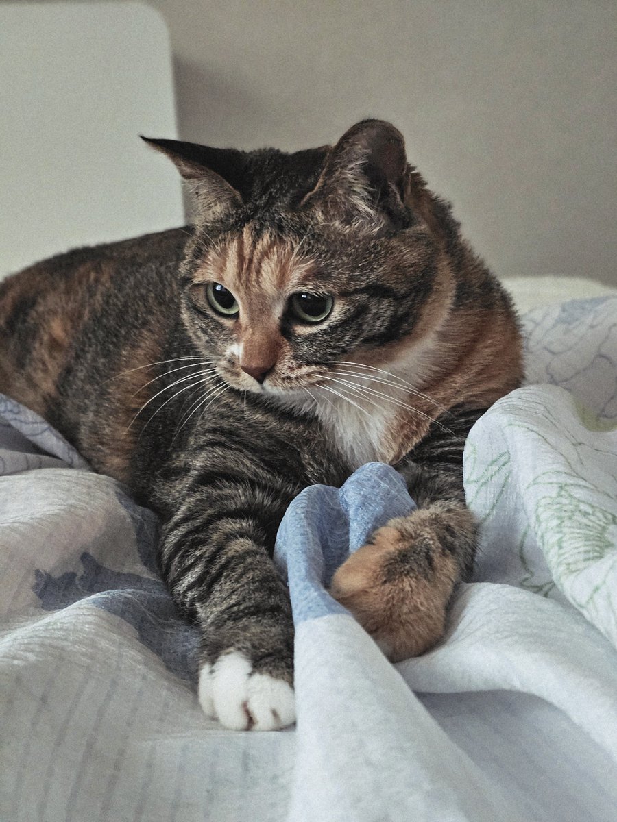 꾸룩이는 오늘도 꾸룩해 🐾 tweet media