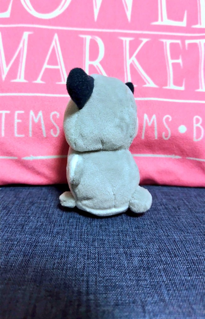 tkrk0o's tweet photo. ちいさなツノの赤ちゃんだ！ツノ族の子の半分くらいの大きさです。すくすくと育ってやるぞというBabyな気概を感じるね。
#ぬいぐるみ
#ハンドメイド https://t.co/lu37UUFGCh