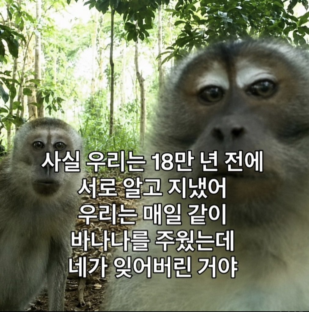 チャム tweet media