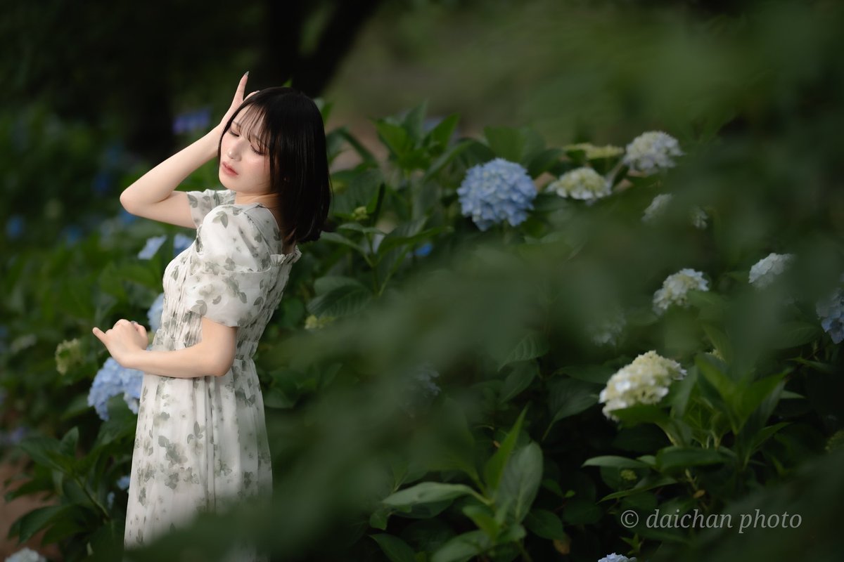 daichann_99_'s tweet photo. 深緑と紫陽花

はざまちゃん、イルコ動画に出てます。　　
　　⬇　⬇　⬇
https://t.co/aEDVV6qnAR…

model：＠htzjmd

#ポートレート #日中シンクロ #被写体募集中  #α9iii   #ニッシンデジタル #LS65C #GODOX #LuxMaster https://t.co/zjY3BUqqOv