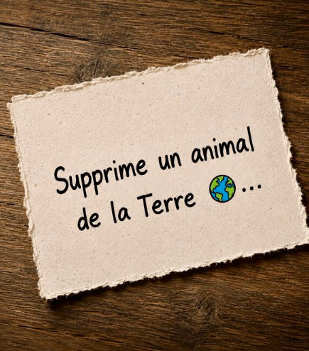 amanda_npo's tweet photo. 🔴Si tu pouvais faire disparaître une espèce animale de la planète, laquelle choisirais-tu ? https://t.co/sqAHPJFgTF