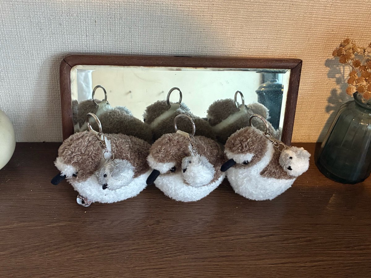 chidorin1012's tweet photo. 本来の楽しく活動している姿もぜひ。
＼シロチドリの日まであと4日！！／

着々とシロチぬいが出来上がってきました！
あと3羽（雛も入れると6羽）！！

たくさんのお絵描き、観察記録の参加お待ちしております！
6羽（雛も入れると12羽）が誰の手元に旅立っていくか楽しみです😊

#シロチドリの日2026 https://t.co/XY25jomk79