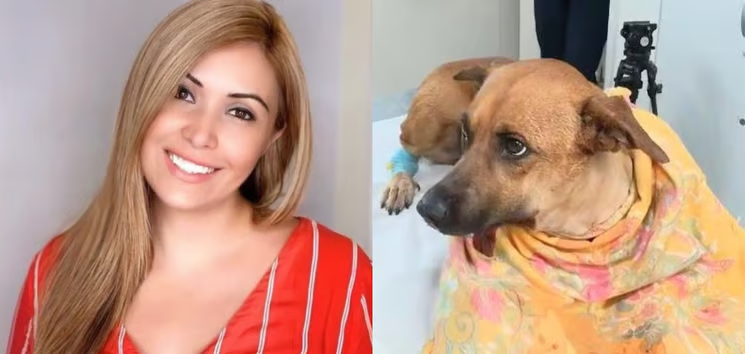 delpynews's tweet photo. ▶️"ME VAN A TENER QUE MATAR PARA QUE ESO PASE " | ​🔴​

🛑Diana Camarasa se niega a entregar a Canela a sus anteriores dueños, tras la orden de la jueza Carmen Rosana Morán.

🗣️"No voy a entregar a Canela, me van a tener que matar para que eso pase, me tendrán que acribillar para sacarme a la perra. No es justo que le den a estas personas", cuestionó la rescatista.

Vía: 970 AM