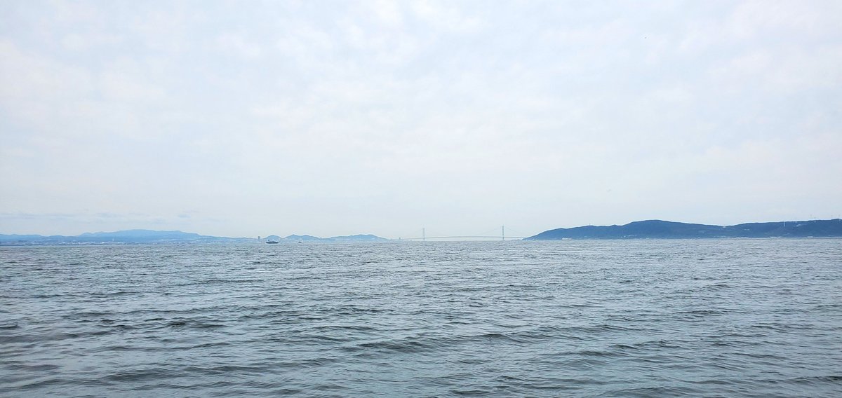 MECHLABO's tweet photo. 本日の明石沖釣果🎣
今日は１人で行って来ました🛥️
西も東も回ってジギング・タイラバ・サビキとしましたが、鰤族がおりませんでした😅
写真の鯛と同じくらいのを水面近くでバラシ🥲
メバル31.5cmは自己新記録😂
仕事多忙になるので当分行けないかも・・😣
#釣果 #ジギング #明石沖 #タイラバ #サビキ https://t.co/QgAZ5qhYvG