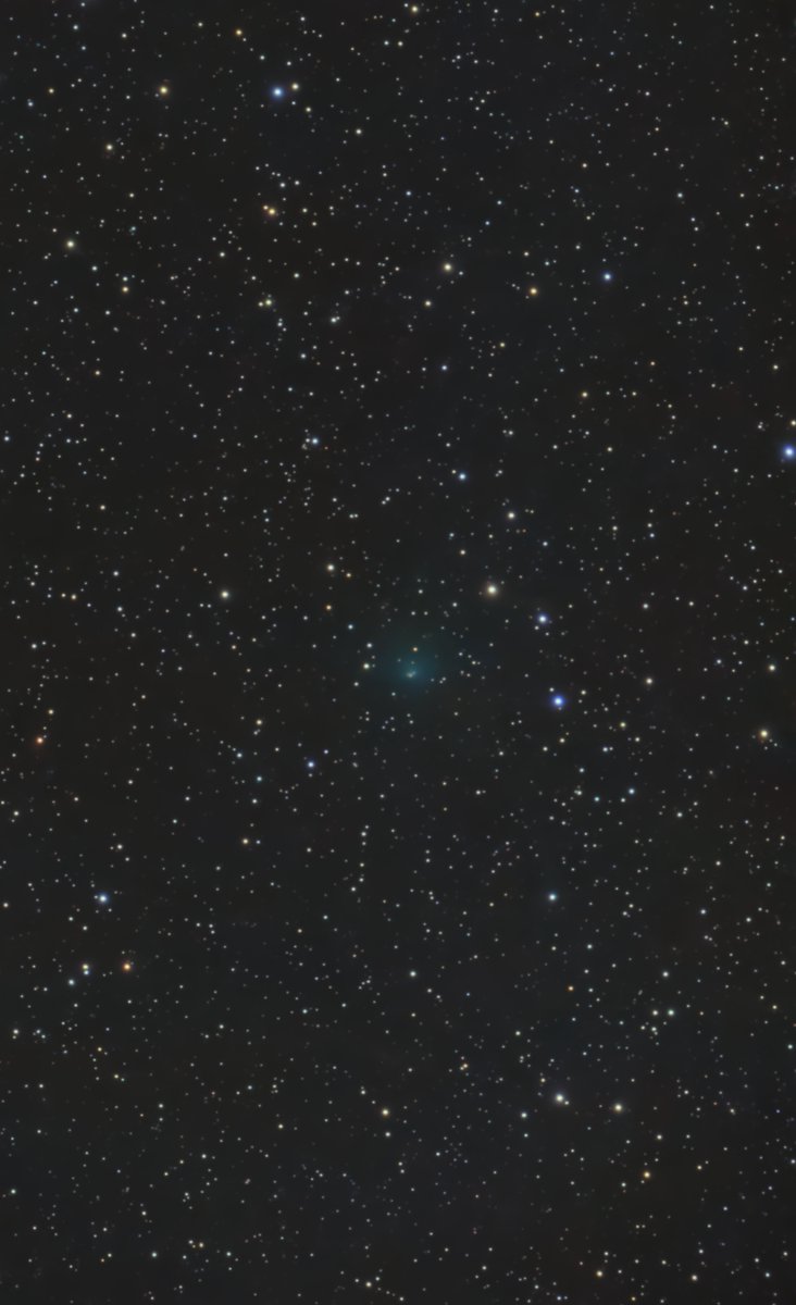 marukoh_astro's tweet photo. 10P/Tempel(2026)
2026/06/15
33 x 60sec
#SeestarS30
テンペル第2彗星は30分掛けて撮影したのでよく写りました https://t.co/7n4wXRyQFb