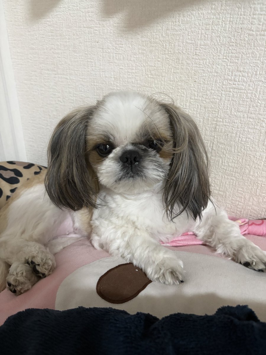 are___02's tweet photo. バーコードなってんで( ᴖ⩊ᴖ💧 https://t.co/LCFEVhaw2u