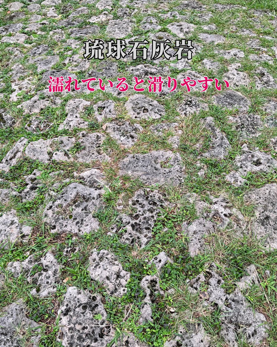 isopon11's tweet photo. 宮古島《漲水石畳道》
はりみず いしだたみみち

18世紀初頭に整備された歴史ある石畳の道
当時の約3分の1が現在も残っています

宮古神社を一の鳥居から出る
↓
正面の階段を下りる
↓
漲水石畳道

石畳道の先には
・漲水御嶽〈はりみず うたき〉
・モンテドール本店
があります https://t.co/8rPqEughuG