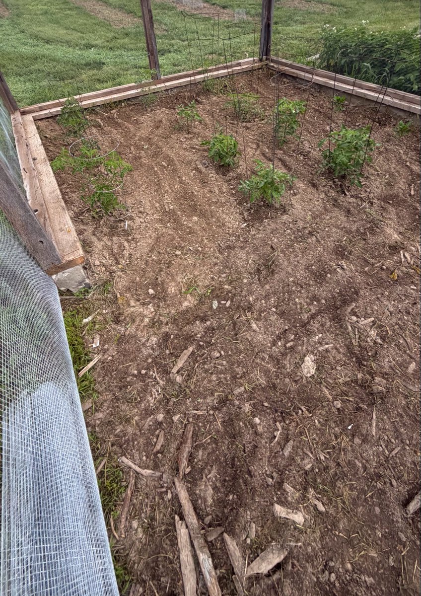 MidWestGrowShow's tweet photo. Vegetable Garden 2026 #farmlife #vegetables #enclosedgarden https://t.co/oDBqyM22DE