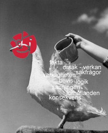 TereMotto's tweet photo. @viktorbk https://t.co/USiJhqK3Iw