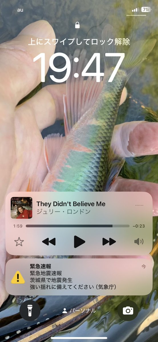ormitte's tweet photo. ジュリー・ロンドンを聴きながら歩いていたら緊急地震速報がけたたましく鳴った。
内陸の断層なのか、プレートの端っこなのか。 https://t.co/NjzFcUvHTs