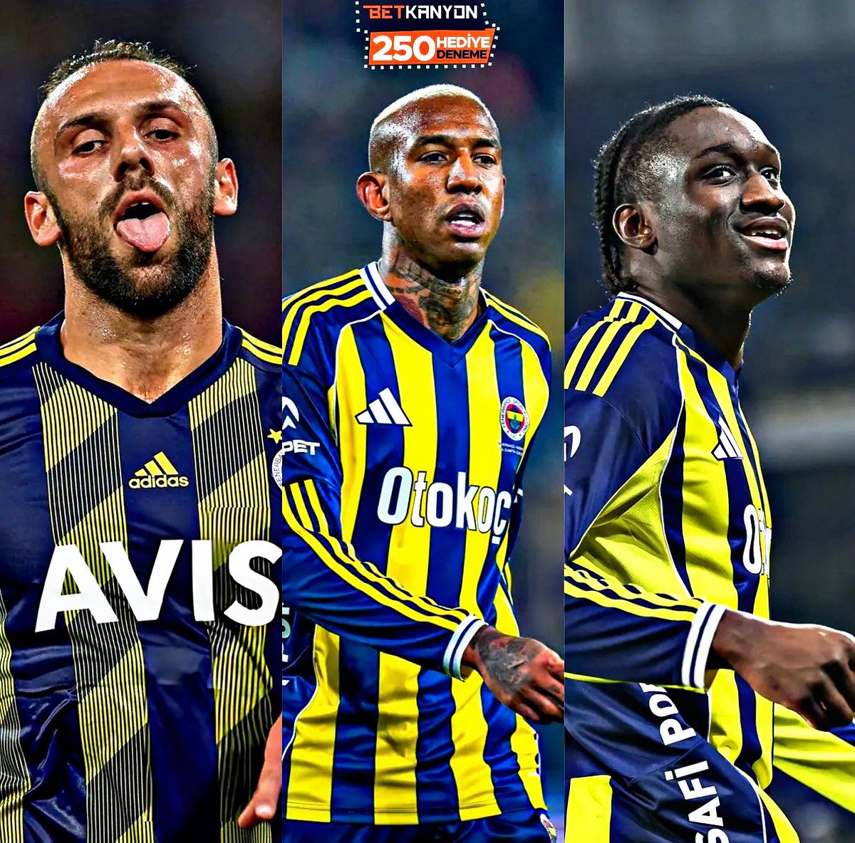Daima Fener tweet media