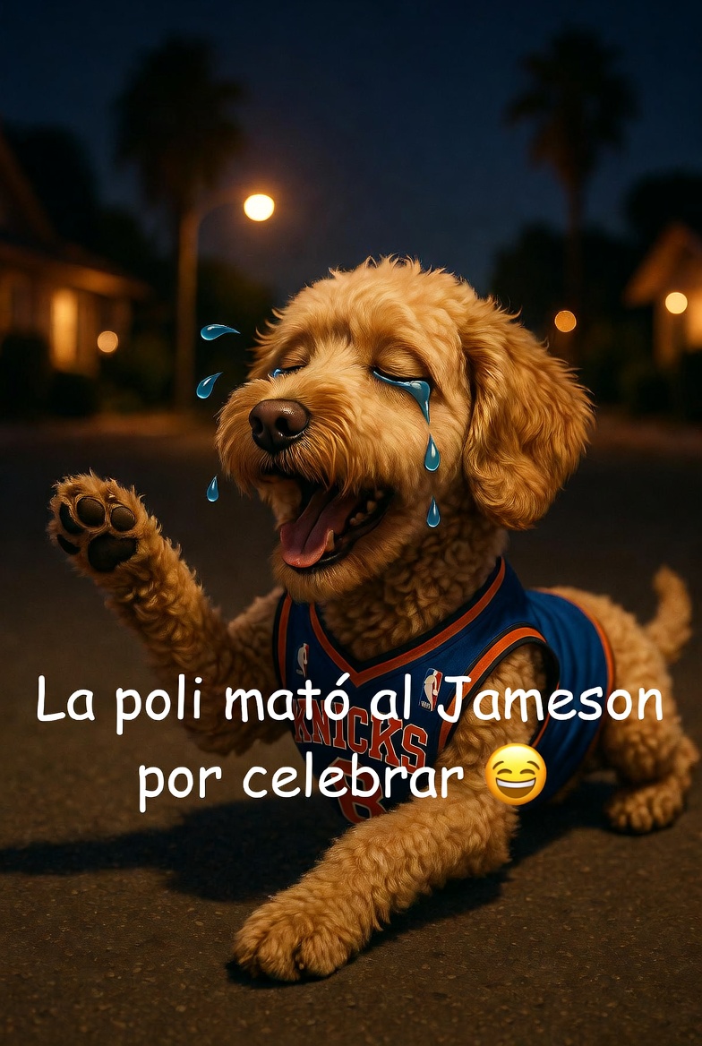 Alya_khaleeji's tweet photo. @DaniMayakovski Qué mierda loco, mataron al Jameson solo por estar feliz con los Knicks... la poli de LA se pasó de verga https://t.co/NPaciZO9EK