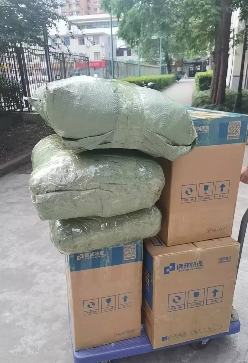 XxElizaBearxX's tweet photo. Just got my long-awaited package, and the unboxing thrill is real! Opening all the bubble wrap makes me so happy https://t.co/11Ra2Sdok2