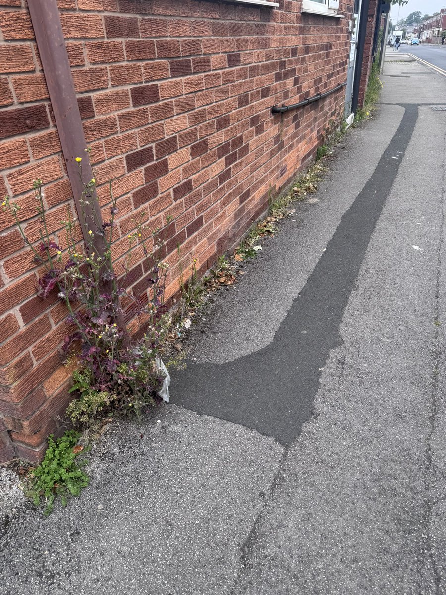 DIsabilityNW's tweet photo. One of our lovely volunteers is de-weeding around the Hub - she’s doing a great job and is loving it !! 
#Volunteers #winwin https://t.co/m9MLmDIAPX