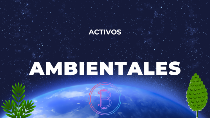 Fidestamp's tweet photo. Tokenización de activos ambientales https://t.co/gYQztVmENA a través de @territoriobtc https://t.co/aU8ZNkcRyJ