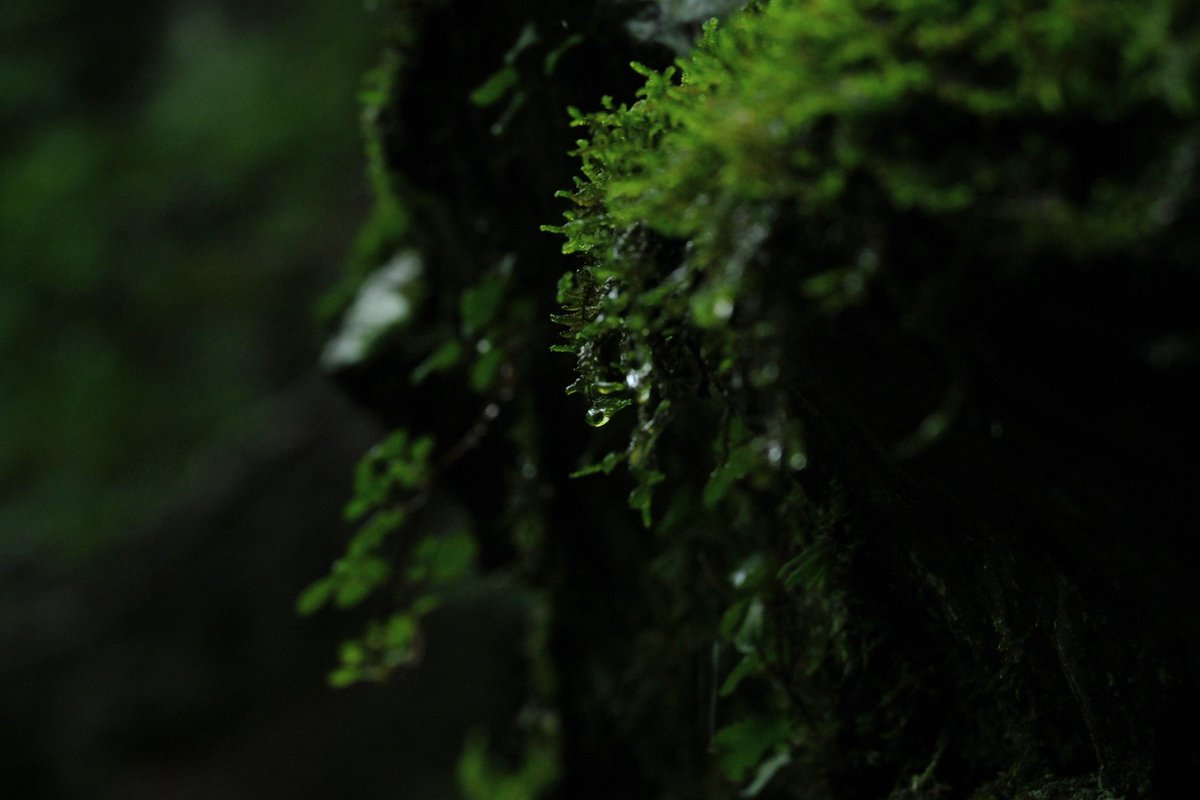8703photography's tweet photo. https://t.co/oznI6cLktI