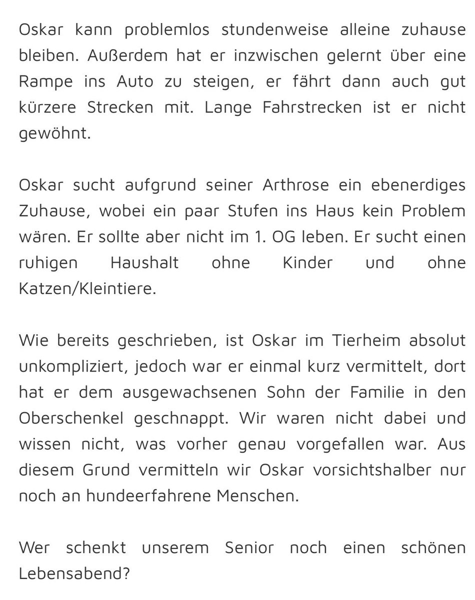 ainyrockstar's tweet photo. Ich versuche es nochmal für Opa Oskar. Er verdient einen schönen Lebensabend. 

Ich würde mich, wenn alle Stricke reißen, auch an den Kosten für seine Arthrose-Spritze beteiligen. 

Man kann dem Tierheim Andernsch auch über ein Kontaktformular auf der Seite schreiben. Ich hatte schon ein paar mal Kontakt mit dem Tierheim. Sowohl per Mail als auch telefonisch. Die sind absolut nett dort und vermitteln auch weiter weg, wenn ihr euch die Mühe macht und dort hin fahrt. Ich bin für Minnie ja auch zwei mal nach Ostfriesland zu ihrer Pflegestelle gefahren.
