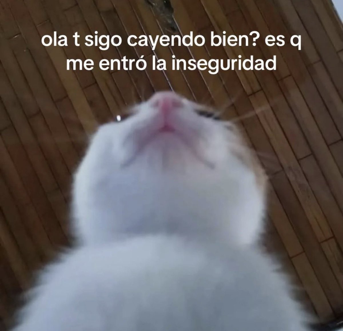 MundoDeBigotes's tweet photo. https://t.co/AHPGuDM4Cs