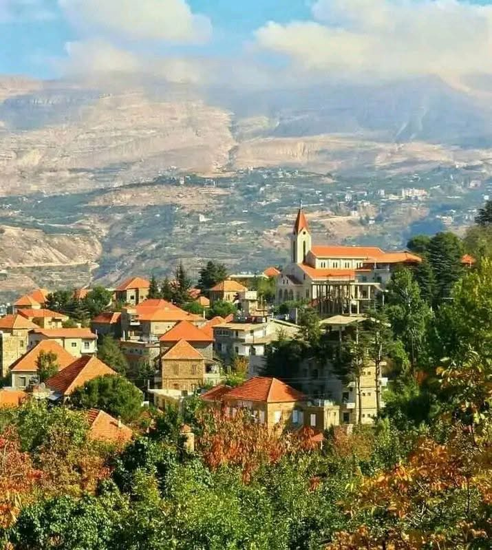Bntmagrora's tweet photo. A beautiful view from #Hasroun ๐๐ฟ
A bright morning, fresh air, and the timeless beauty of Lebanon filling the heart with peace and joy. โ๏ธ๐ฑ๐ง
#MorningVibes #BrightThings #Lebanon ๐โจ https://t.co/TgoARiJ1bq
