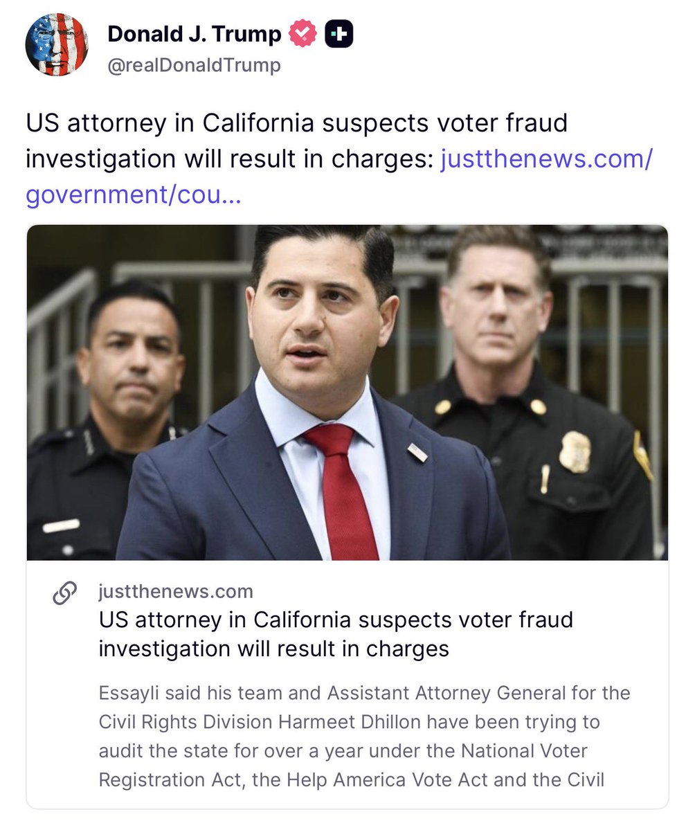 TrueTheVote tweet picture
