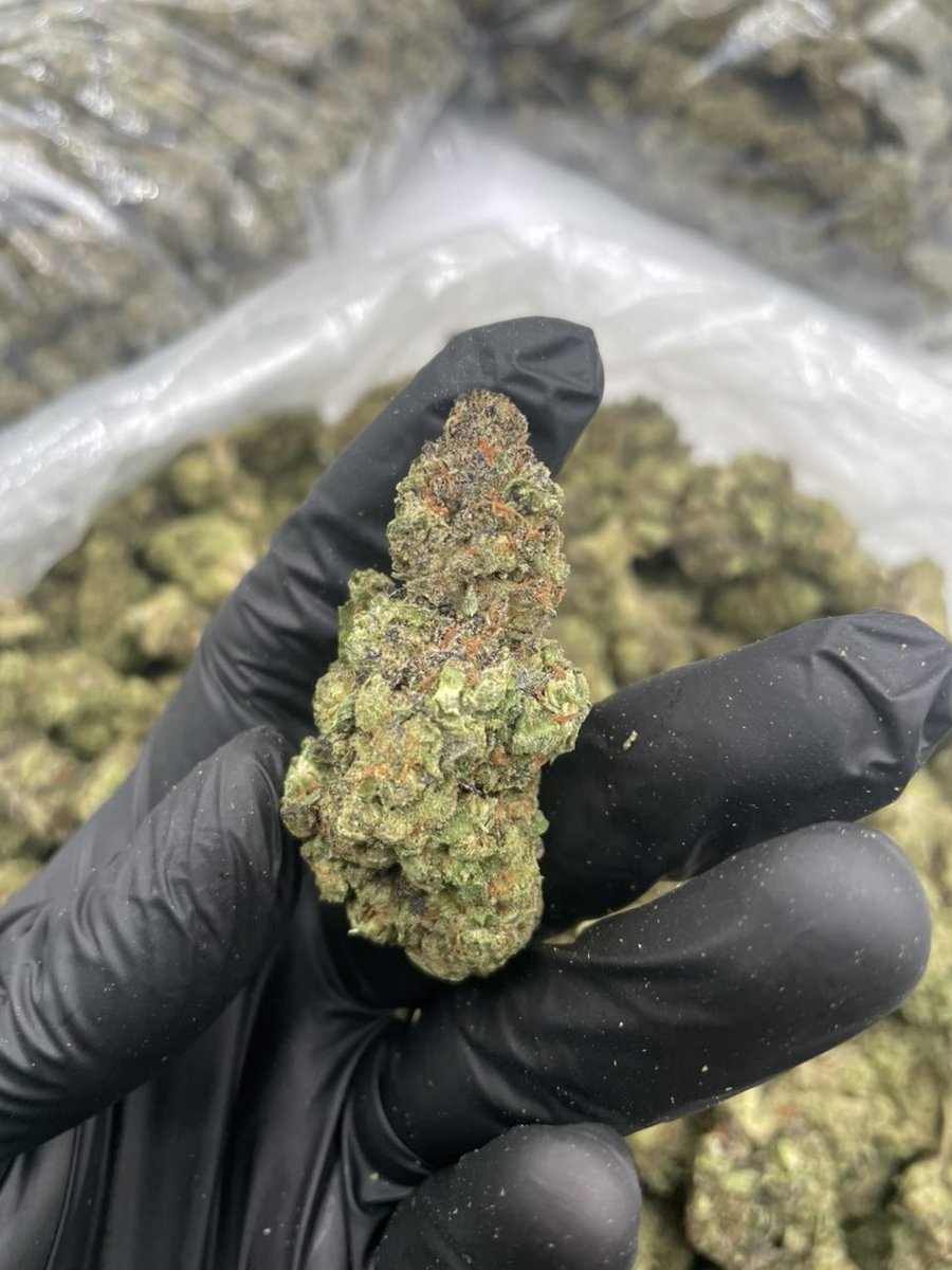 satxplug06's tweet photo. Come get them stuffs active
Shipping out to all 50 states 
#Contentcreator #dallasfreaks #bbc #Dicksucking #Deepthroat #ebonypyt #fyp #throatfuck #freakyteen #Pussythroat #Facial #dmvfreaks #Freakymood #viral #chudai
Telegram: https://t.co/51lNscqGOk https://t.co/tgz1e6HPQM