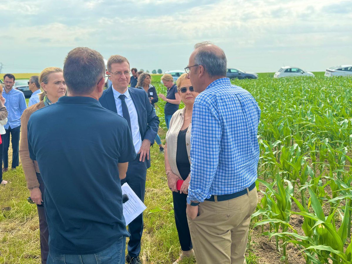Prefet95's tweet photo. 🌾🚜 #Agriculture #Innovation | À Vallangoujard, @prefet95 a visité ce matin la plateforme d’expérimentation agricole du Val-d’Oise aux côtés des responsables agricoles, des élus et représentants de la société civile.

🌱 Véritable vitrine de l’innovation agricole, cette plateforme permet de tester différentes variétés de blé tendre, d’orge et de colza afin d’évaluer leur résistance à la sécheresse, aux maladies et leur rendement.

💧 Diversification des cultures, gestion de l’eau et innovations techniques : des solutions concrètes sont expérimentées pour accompagner les agriculteurs face au changement climatique et renforcer la souveraineté alimentaire.

🌾 Avec 61 000 hectares de terres agricoles, dont 42 000 hectares de céréales et d’oléoprotéagineux, le Val-d’Oise confirme son rôle de territoire agricole majeur en Île-de-France.

🤝 Un temps d’échange essentiel entre agriculteurs, élus et partenaires pour préparer l’agriculture de demain.