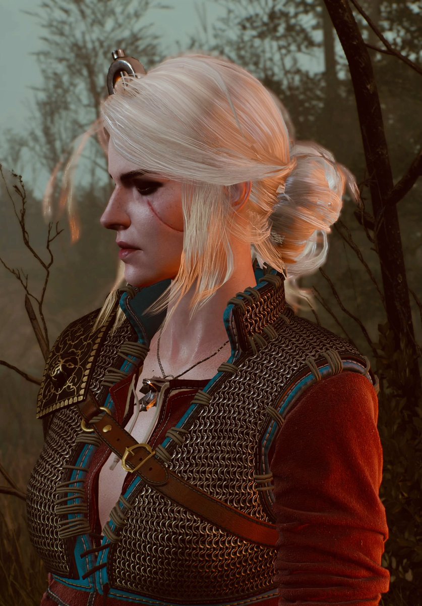 ReinkaosVp's tweet photo. Ciri
The Witcher 3 Wild Hunt 

#VirtualPhotography #Witcher3 https://t.co/pPvhkRtRNj