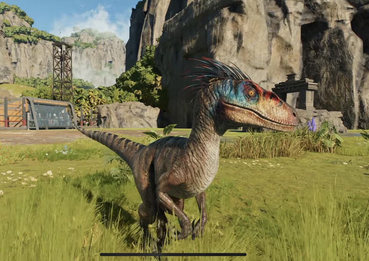 AllosaurusJP's tweet photo. WHO SAID HE DOESNT HAVE QUILLS

LOOK AT MY PRETTY https://t.co/zUFZRLltnF